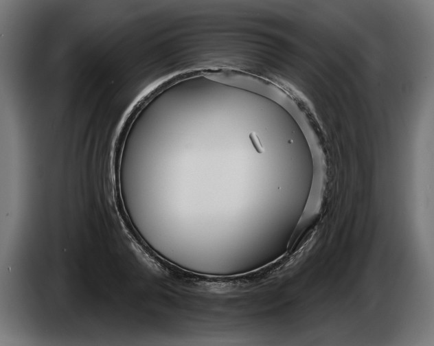 X0000083550792200703021649
