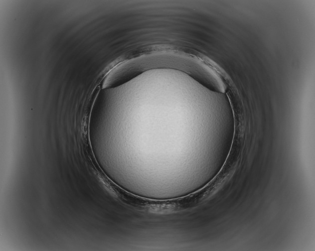 X0000083550793200703021649