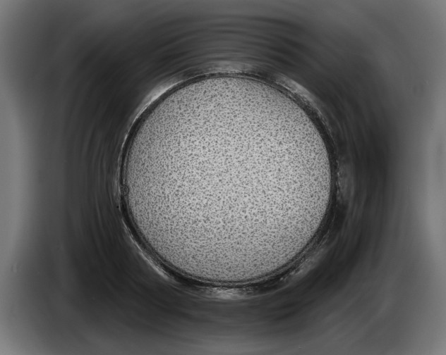 X0000083550794200703021649