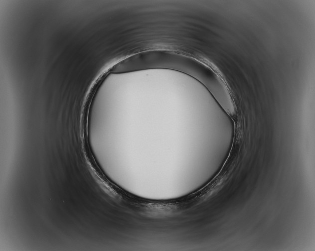 X0000083550795200703021649