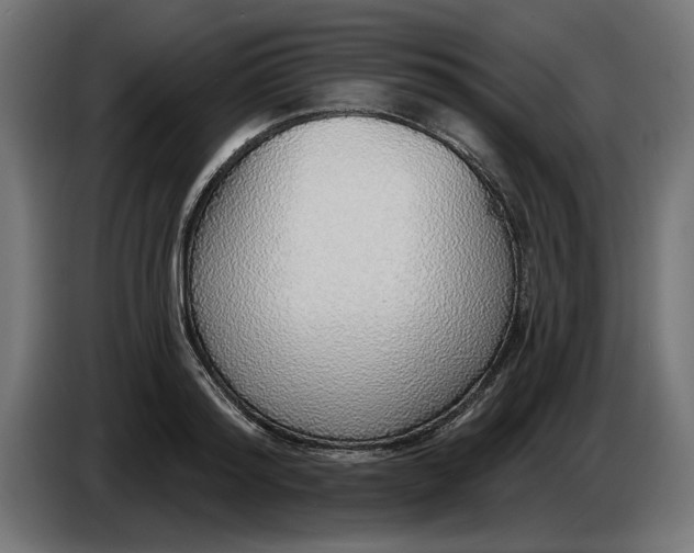X0000083550796200703021649