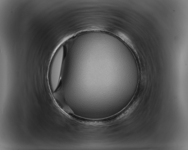 X0000083550797200703021649