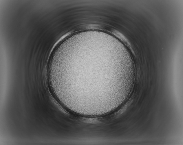 X0000083550798200703021649