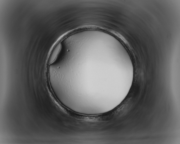 X0000083550799200703021649