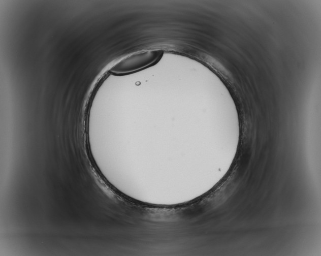 X0000083550800200703021649