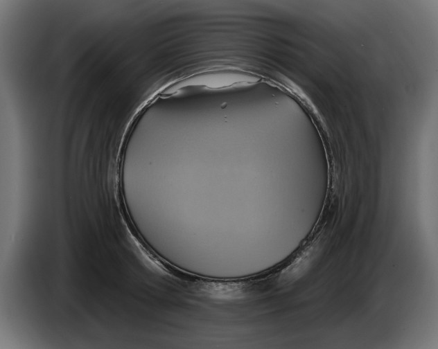 X0000083550802200703021649