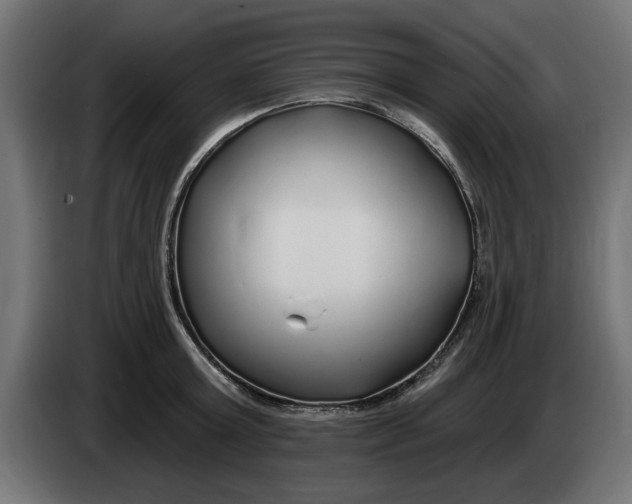 X0000083550803200703021649