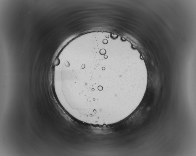 X0000083550804200703021649