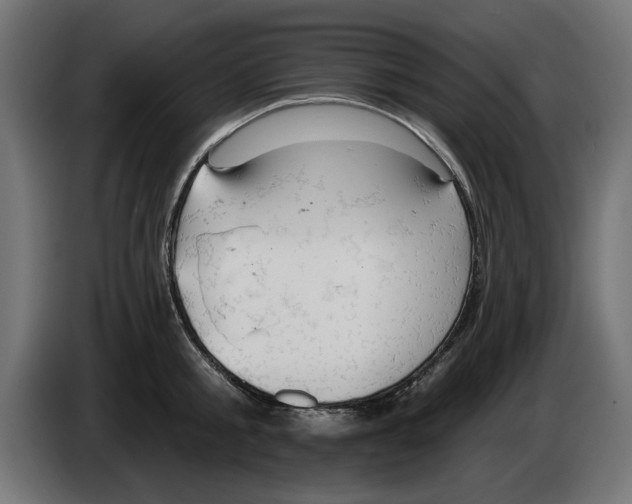 X0000083550805200703021649