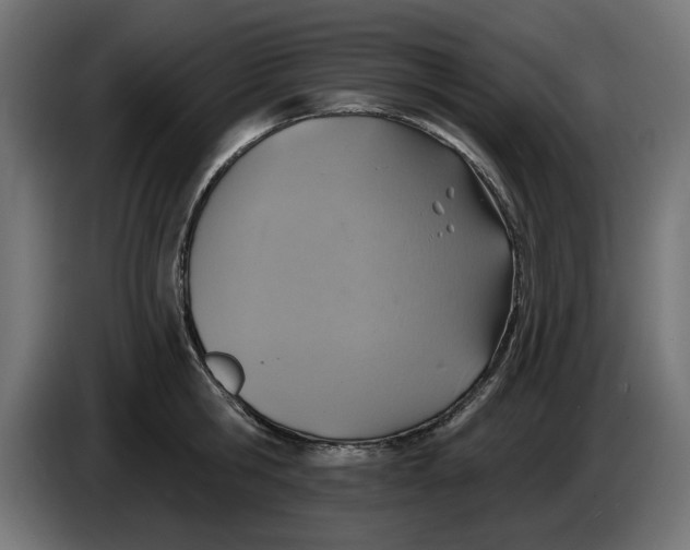 X0000083550806200703021649
