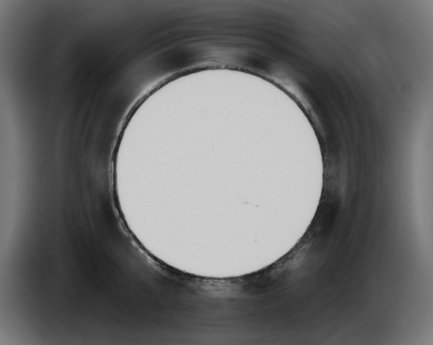 X0000083550807200703021649