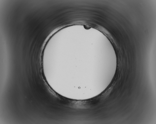 X0000083550808200703021649