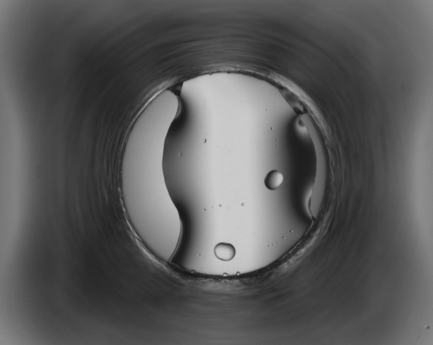 X0000083550809200703021649
