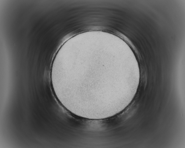 X0000083550810200703021649
