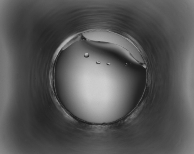 X0000083550812200703021649