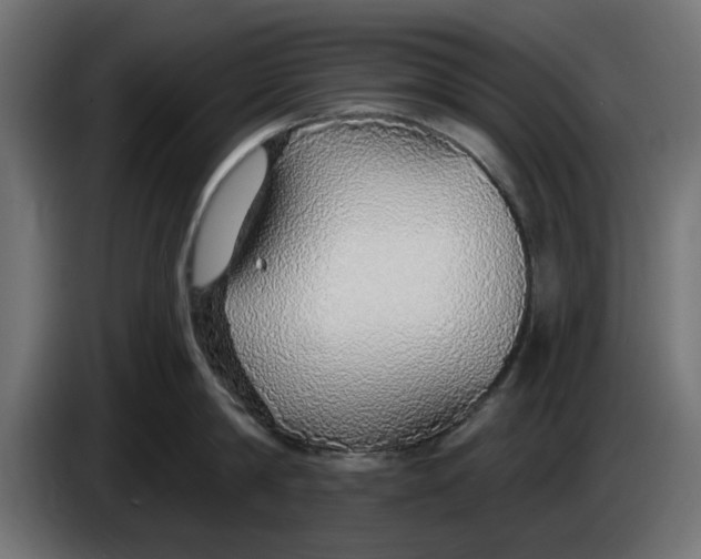 X0000083550814200703021649
