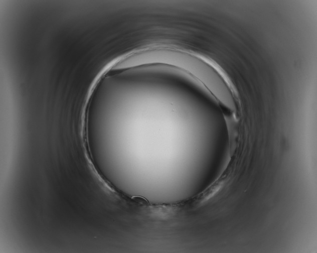 X0000083550815200703021649