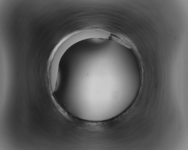 X0000083550816200703021649