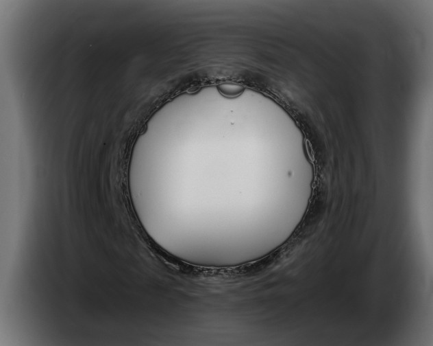 X0000083550817200703021648