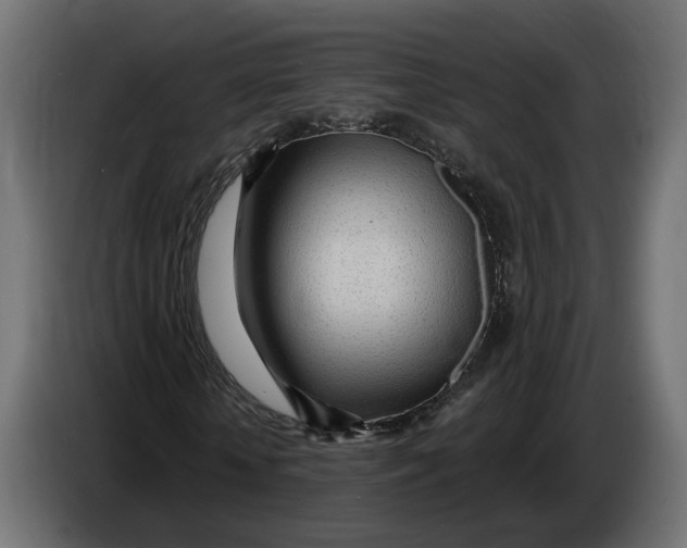 X0000083550818200703021648