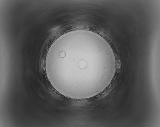 X0000083550820200703021648