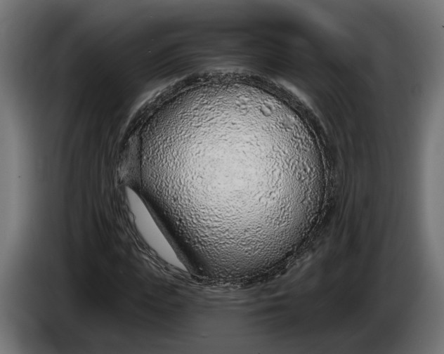 X0000083550823200703021648