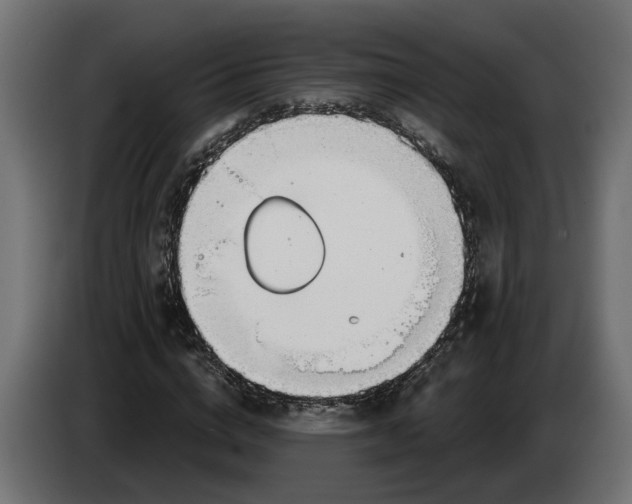 X0000083550824200703021648