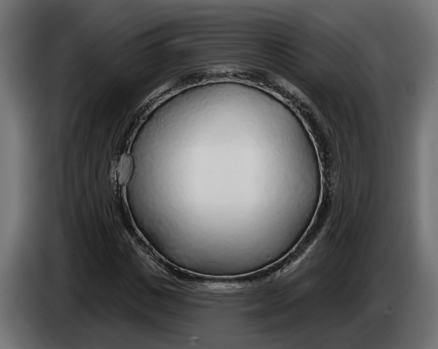 X0000083550825200703021648