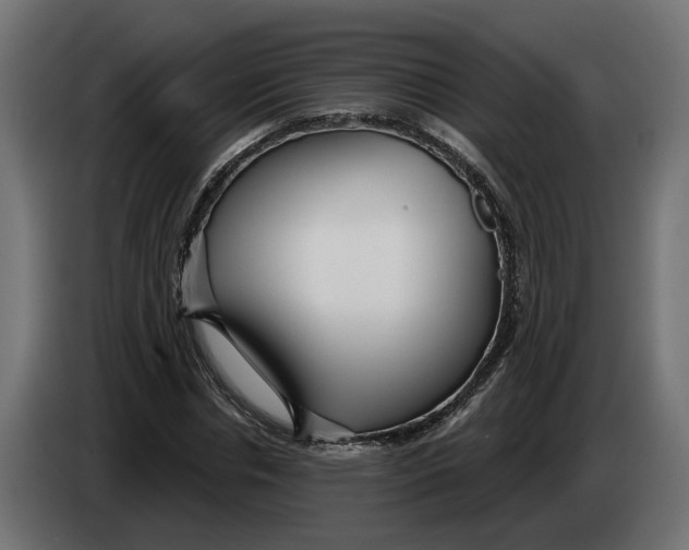 X0000083550826200703021648