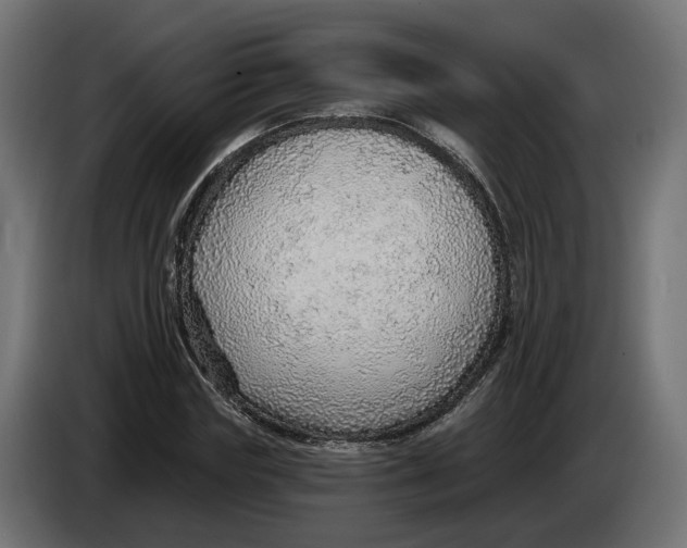 X0000083550827200703021648