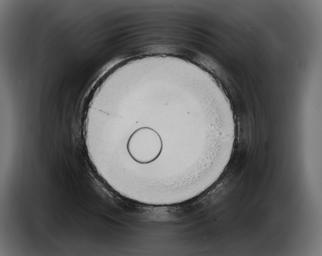 X0000083550828200703021648