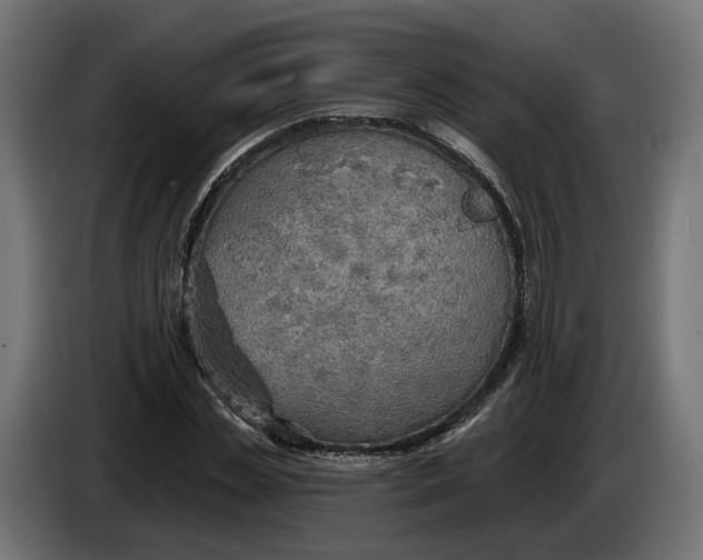 X0000083550829200703021648