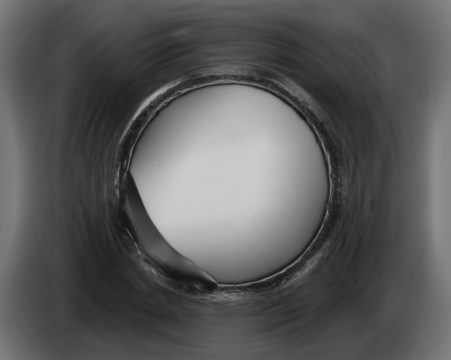 X0000083550830200703021648