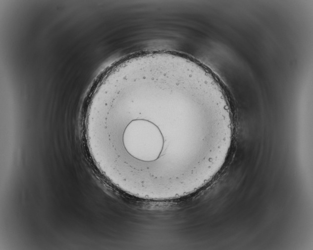 X0000083550832200703021648