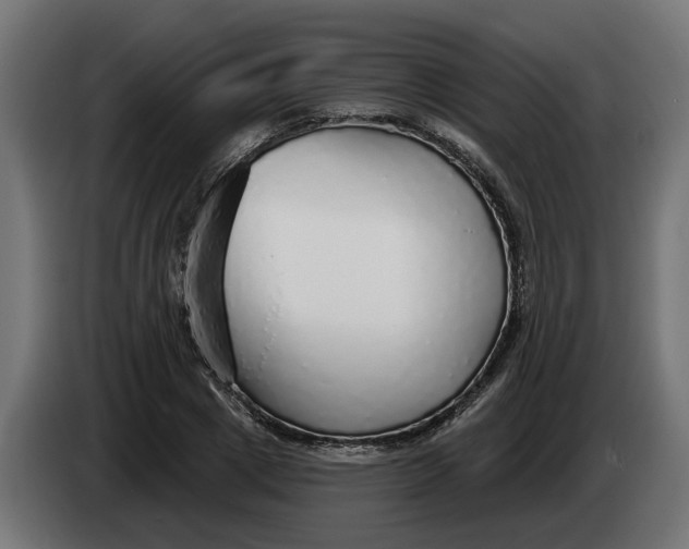 X0000083550833200703021648