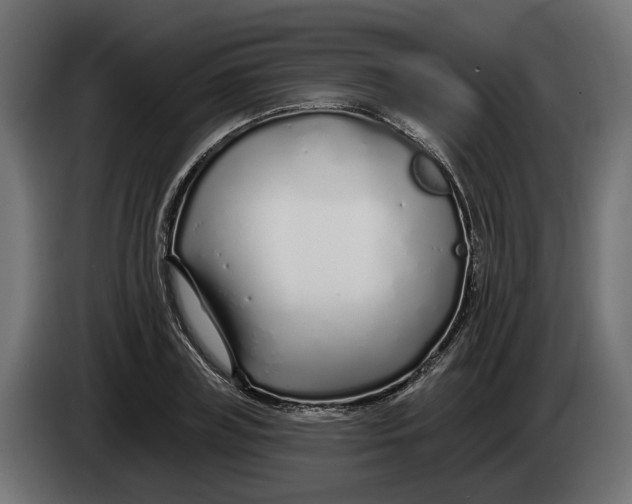 X0000083550835200703021648