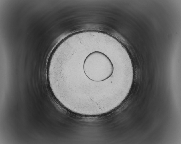 X0000083550836200703021648