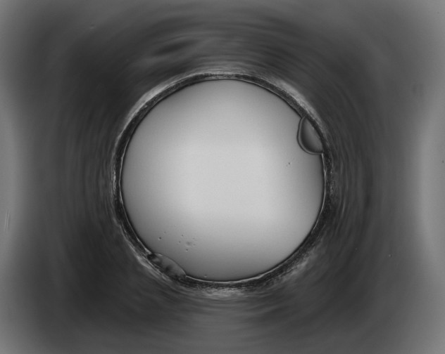 X0000083550837200703021648