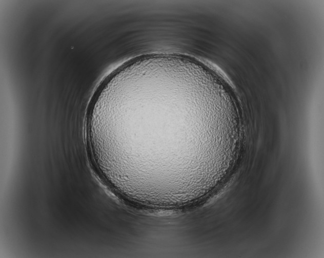 X0000083550839200703021649
