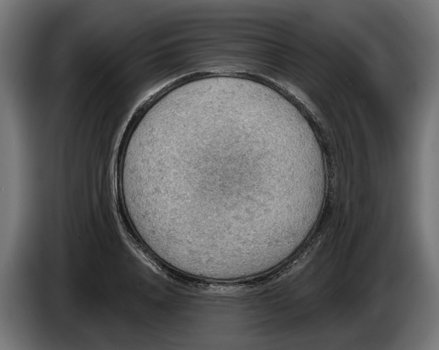 X0000083550840200703021649
