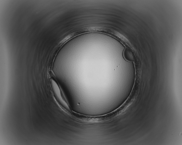 X0000083550841200703021649