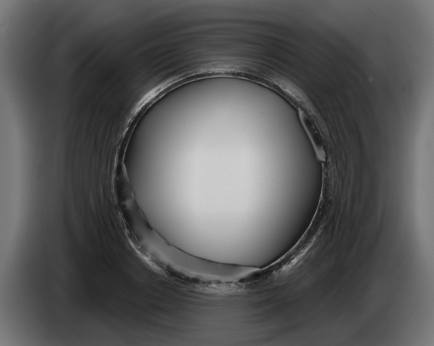 X0000083550842200703021649