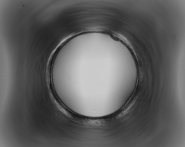 X0000083550843200703021649