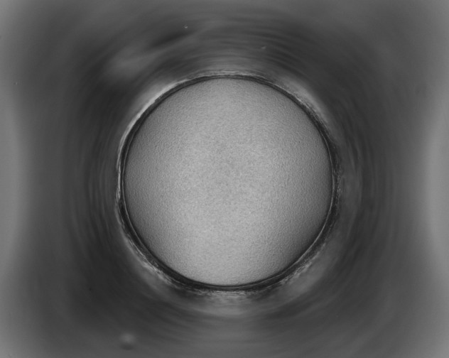 X0000083550844200703021649