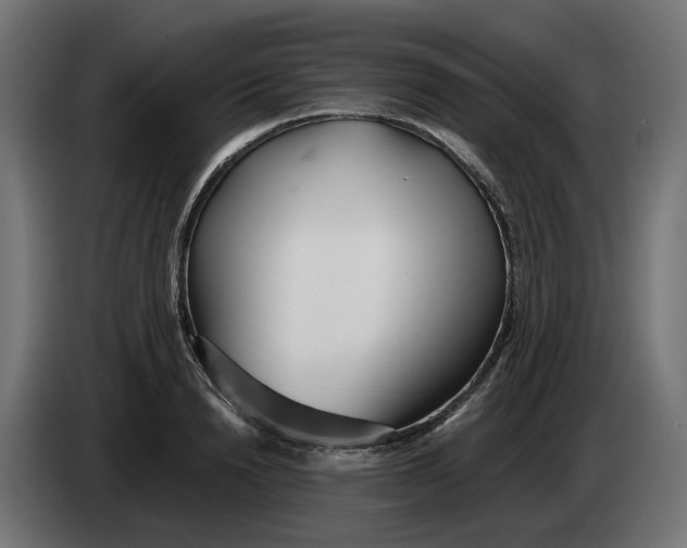 X0000083550846200703021649