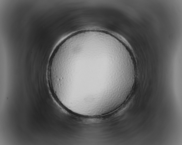 X0000083550847200703021649