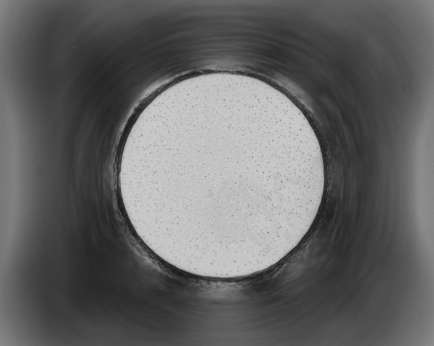 X0000083550848200703021649