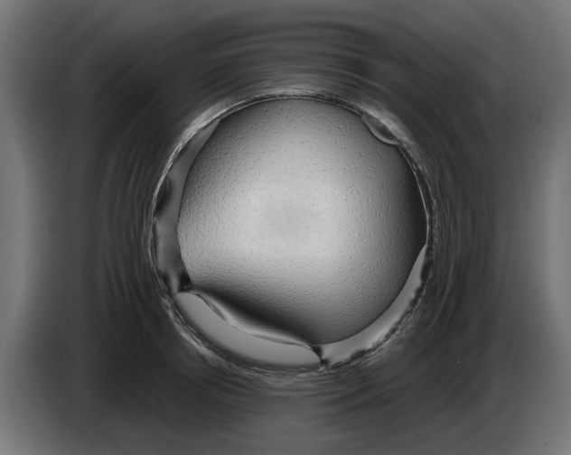 X0000083550850200703021649