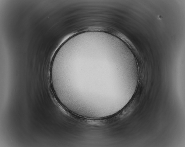X0000083550852200703021649