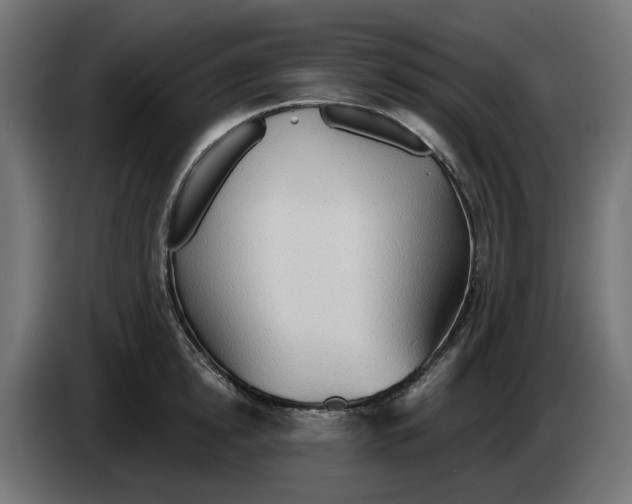 X0000083550854200703021649
